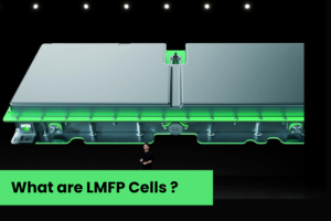 What are LMFP Cells