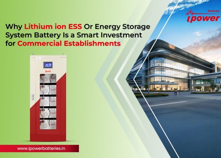 Energy Storage System Battery