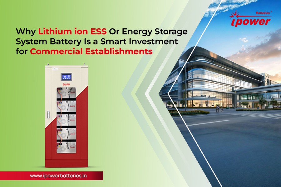 Energy Storage System Battery